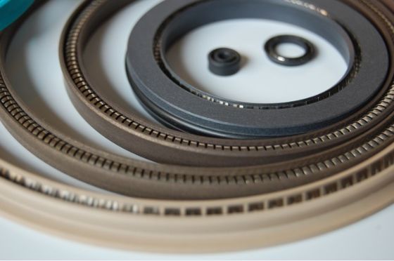 Spring Energized PTFE Seal ,Variseal, PTFE seal ,PTFE gasket ,PTFE ring