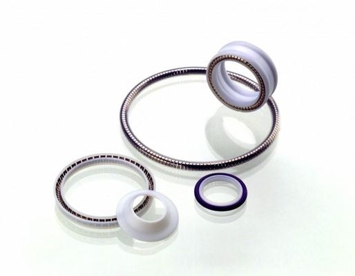 PTFE Seal , Spring Energized Teflon Seal , Teflon Rotary Seal , PTFE Static Seal