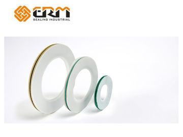 Bích PTFE Envelope gioăng